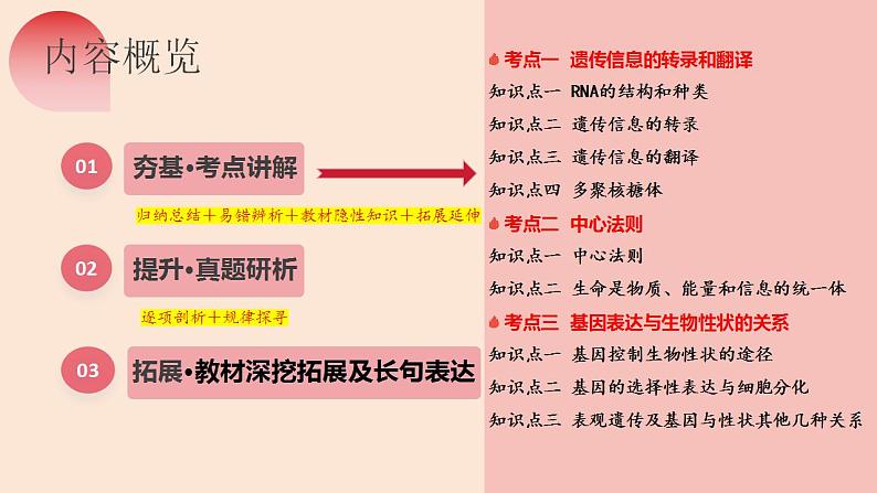 第21讲 基因的表达、基因与性状的关系（精美课件）-【高考一轮】2025年高考生物一轮复习课件（新教材新高考）第7页