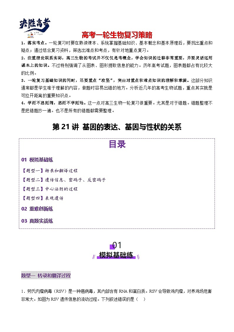 第21讲 基因的表达、基因与性状的关系（练习）（解析版）第1页