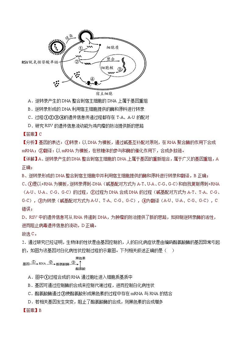 第21讲 基因的表达、基因与性状的关系（练习）（解析版）第2页