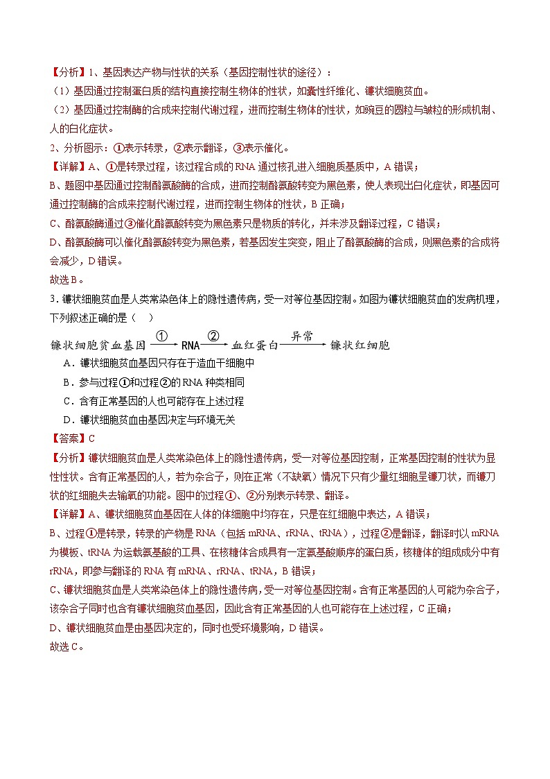 第21讲 基因的表达、基因与性状的关系（练习）（解析版）第3页