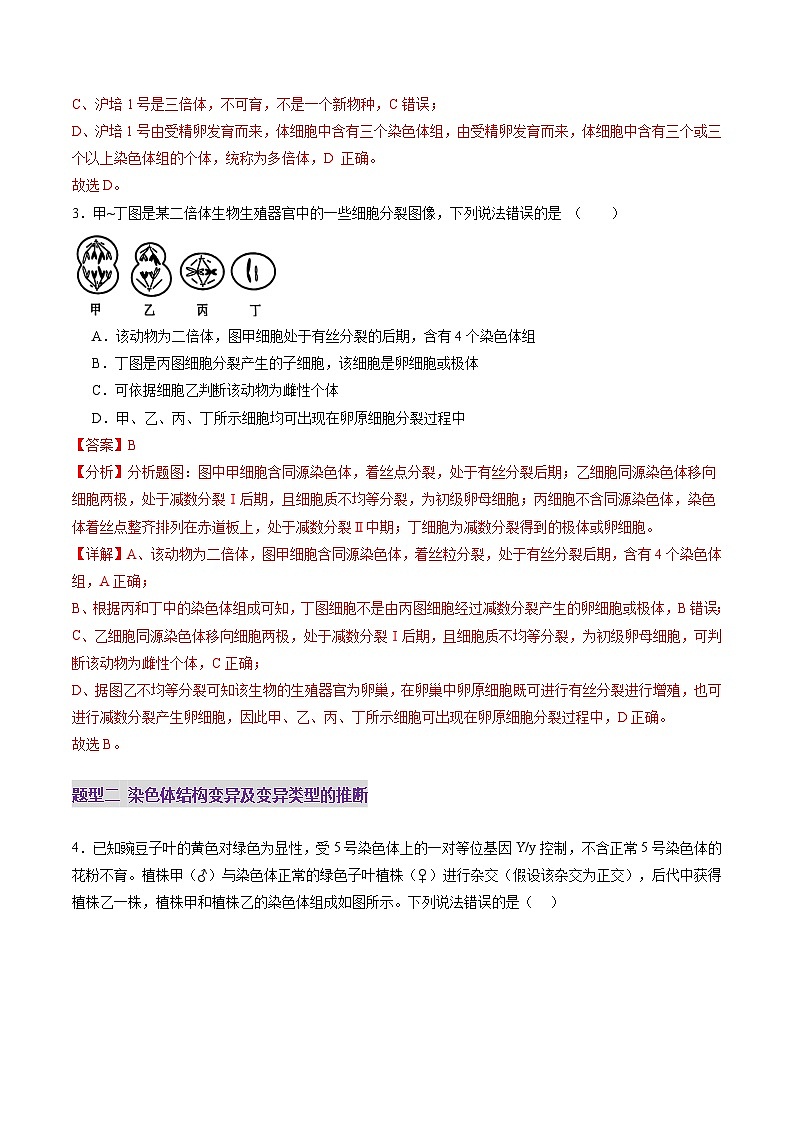 第22讲 生物的变异（第二课时，染色体变异）（练习）（解析版）第3页
