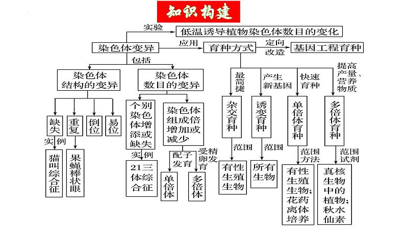 第22讲 生物的变异（第二课时，染色体变异）（精美课件）-【高考一轮】2025年高考生物一轮复习课件（新教材新高考）第6页