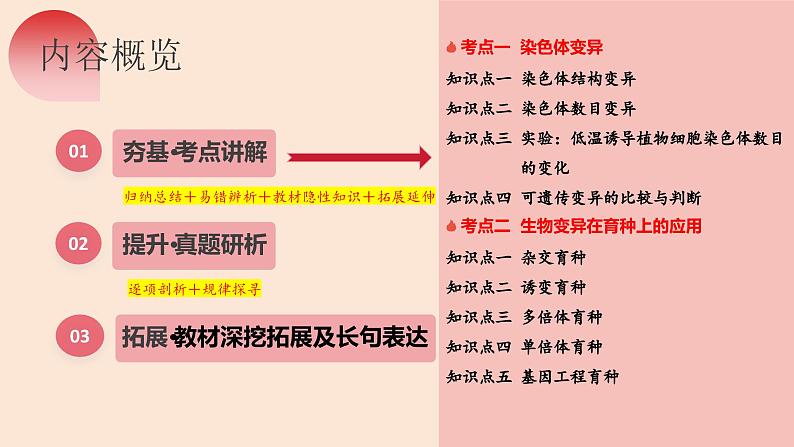 第22讲 生物的变异（第二课时，染色体变异）（精美课件）-【高考一轮】2025年高考生物一轮复习课件（新教材新高考）第7页