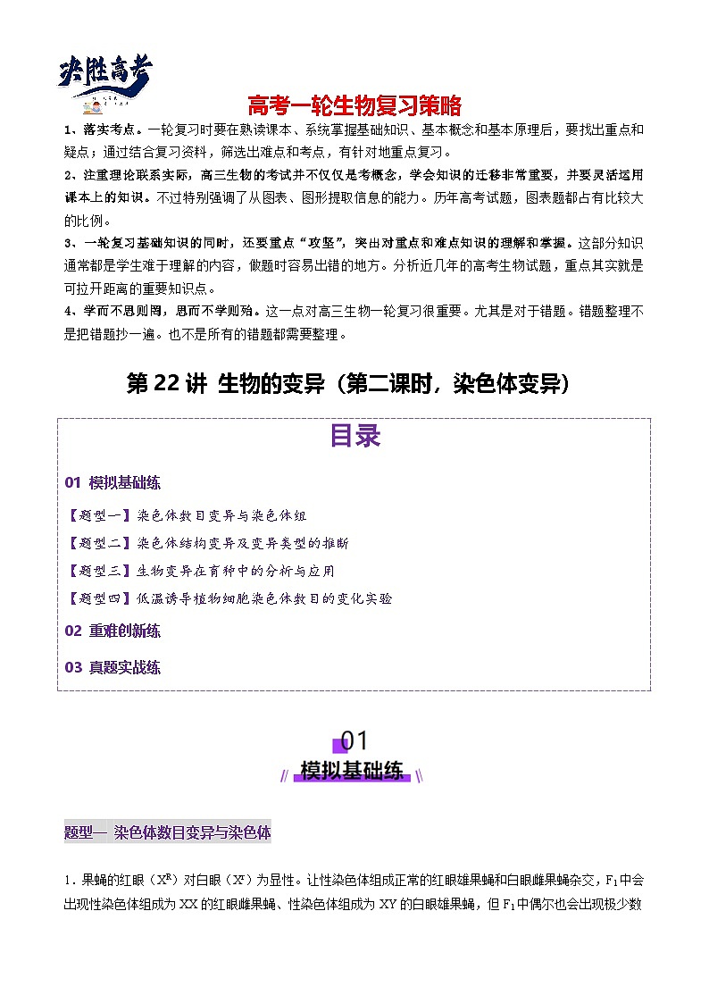第22讲 生物的变异（第二课时，染色体变异）（练习）（原卷版）第1页