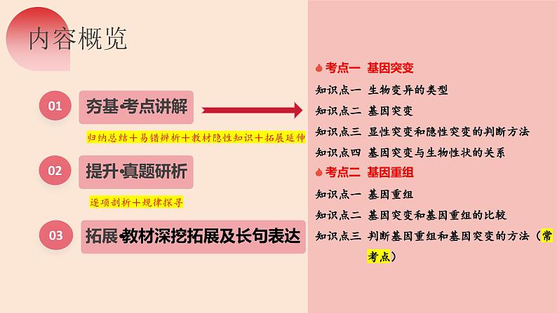 第22讲 生物的变异（第一课时，基因突变和基因重组）（精美课件）-【高考一轮】2025年高考生物一轮复习课件（新教材新高考）第7页