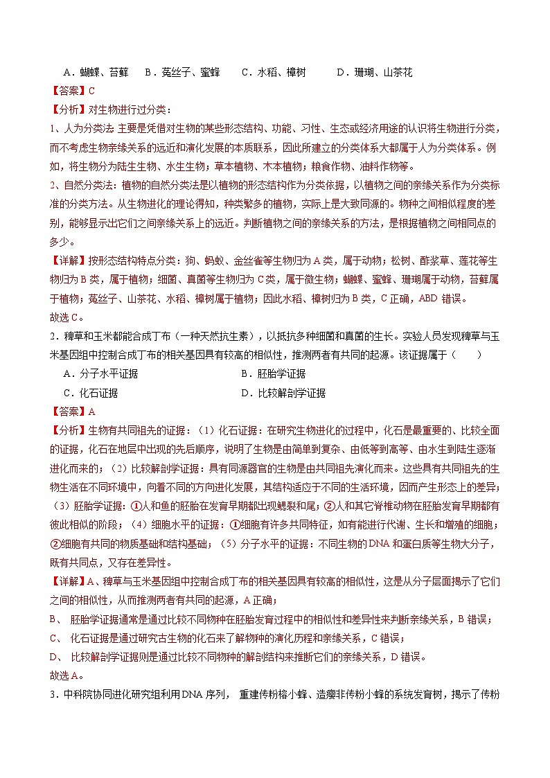 第23讲 生物的进化（练习）（解析版）第2页