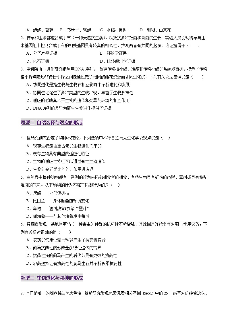第23讲 生物的进化（练习）（原卷版）第2页