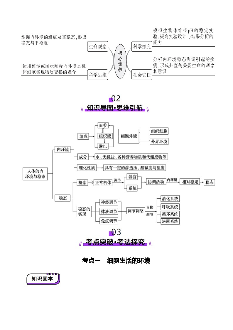 第24讲 内环境与稳态（讲义）（原卷版）第3页