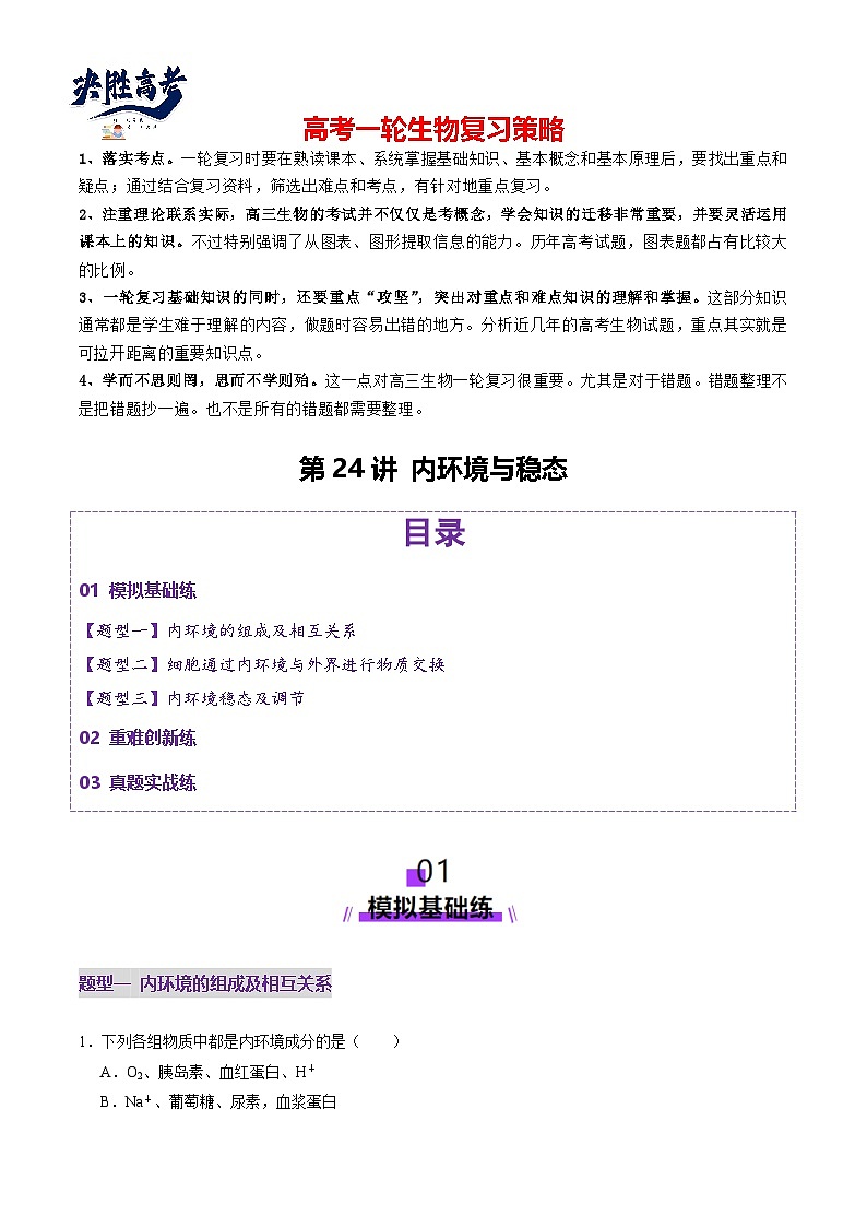 第24讲 内环境与稳态（练习）（原卷版）第1页