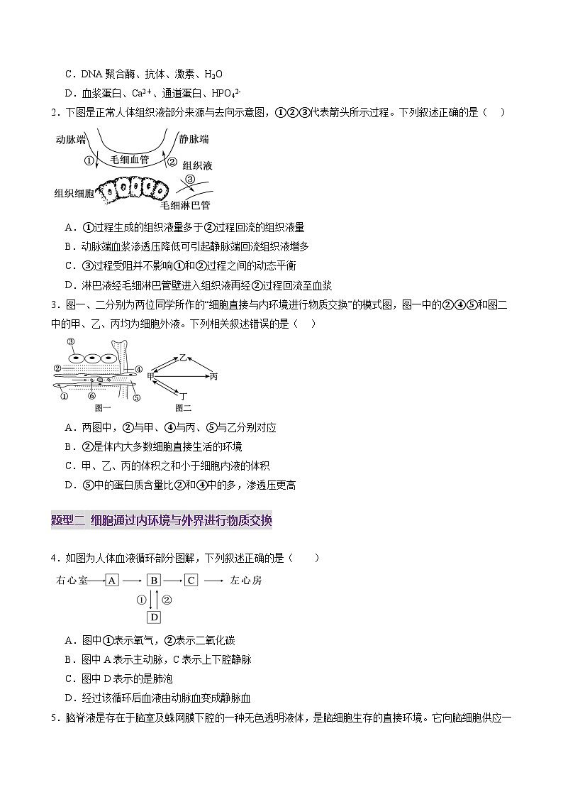 第24讲 内环境与稳态（练习）（原卷版）第2页