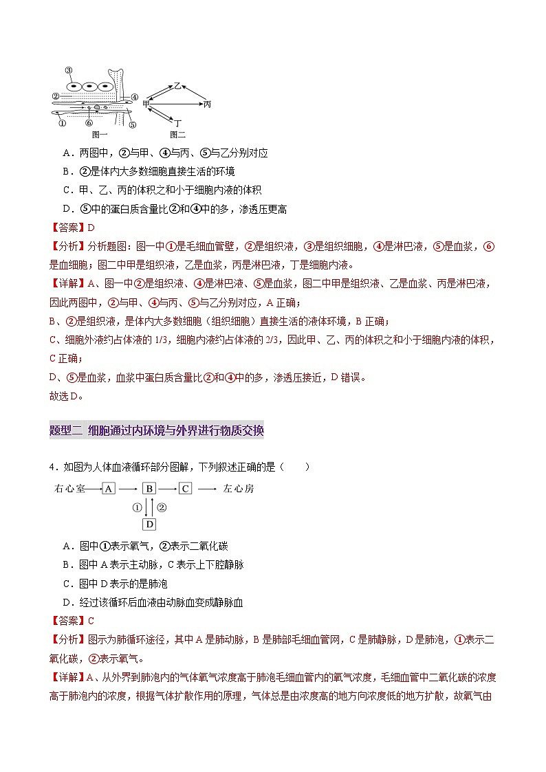 第24讲 内环境与稳态（练习）（解析版）第3页