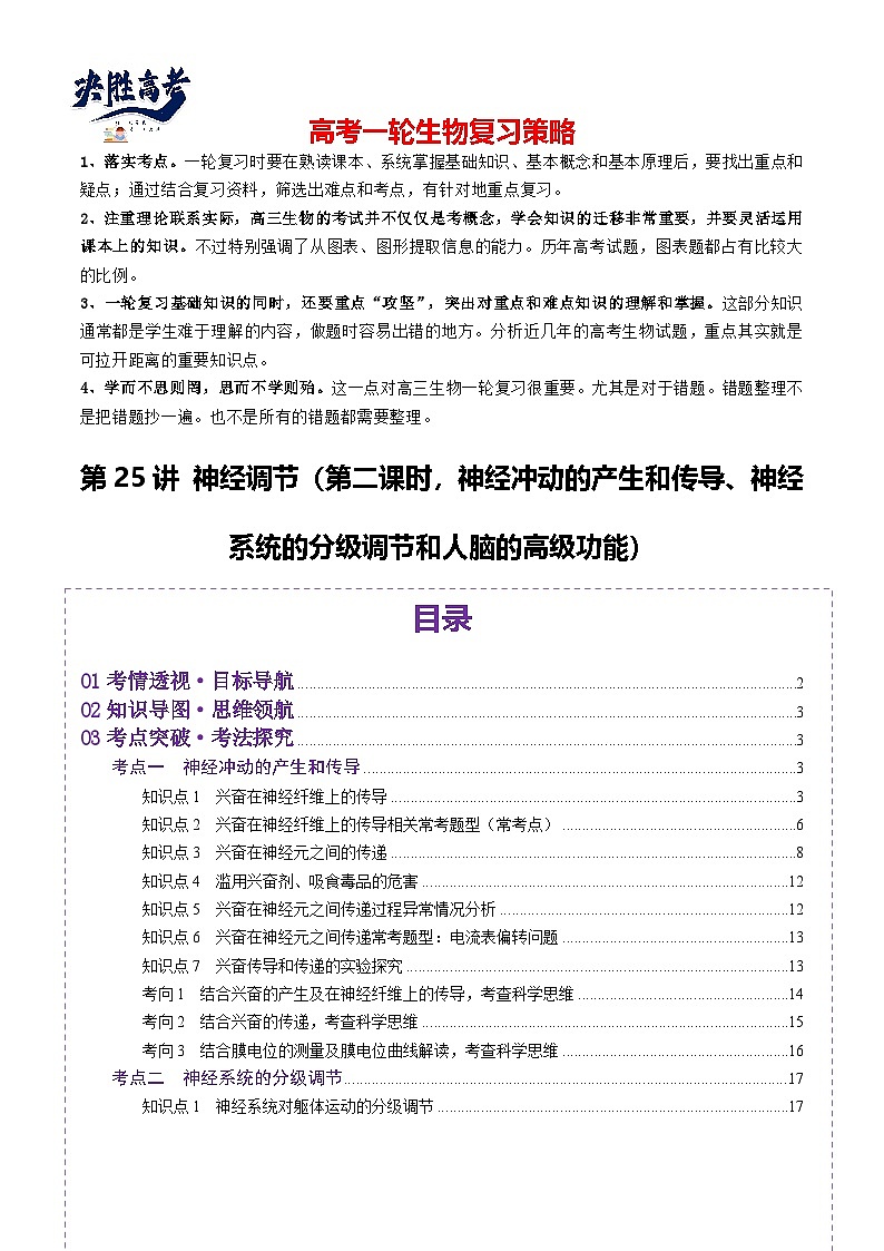 第25讲 神经调节（第二课时，神经冲动的产生和传导、神经系统的分级调节和人脑的高级功能）（讲义）（解析版）第1页
