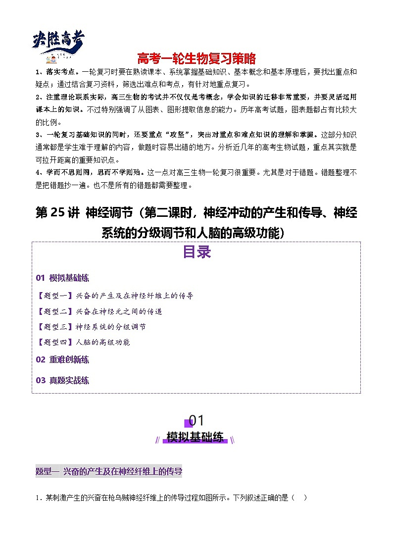 第25讲 神经调节（第二课时，神经冲动的产生和传导、神经系统的分级调节和人脑的高级功能）（练习）（解析版）第1页