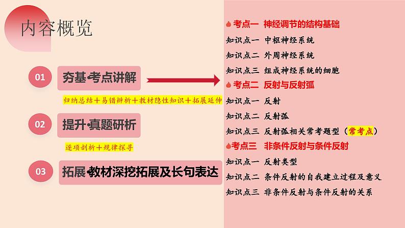 第25讲 神经调节（第一课时，神经调节的结构基础及基本方式）（精美课件）-【高考一轮】2025年高考生物一轮复习课件（新教材新高考）第7页