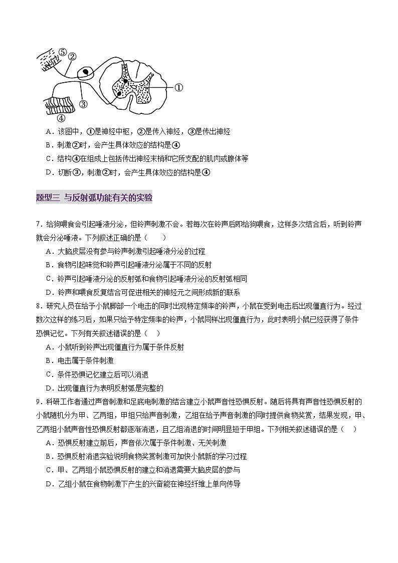 第25讲 神经调节（第一课时，神经调节的结构基础及基本方式）（练习）（原卷版）第3页