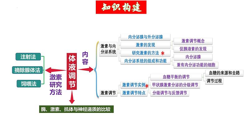 第26讲 体液调节（精美课件，含动画）-【高考一轮】2025年高考生物一轮复习课件（新教材新高考）第6页