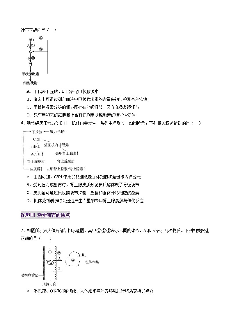 第26讲  体液调节（练习）（原卷版）第3页