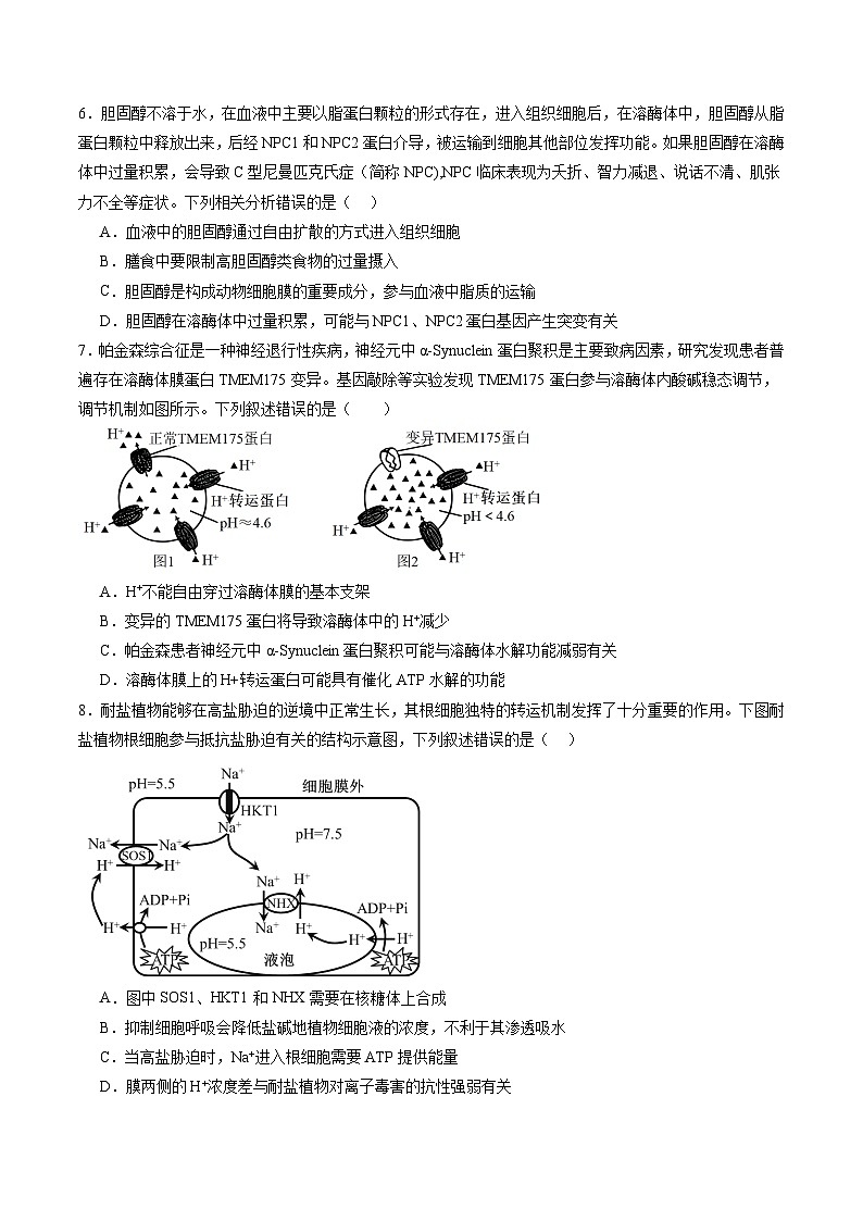 第二单元 细胞的结构、功能和物质运输（测试）（原卷版）第3页