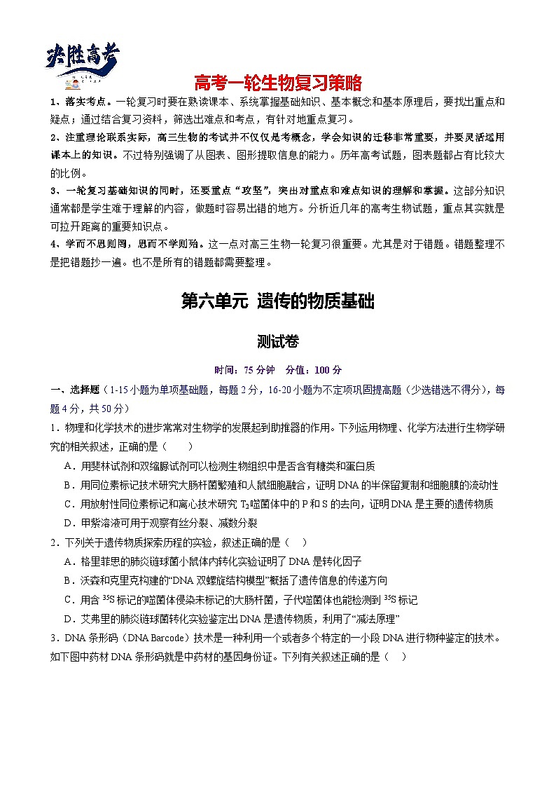 第六单元 遗传的物质基础（测试）（原卷版）第1页