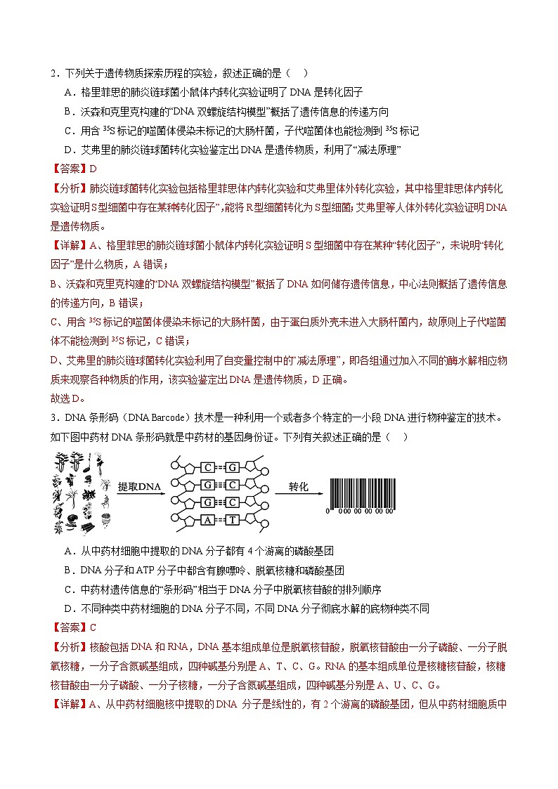 第六单元 遗传的物质基础（测试）（解析版）第2页
