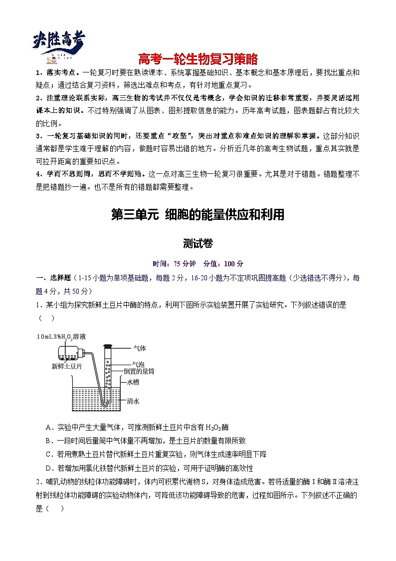第三单元 细胞的能量供应和利用（测试）（原卷版）第1页