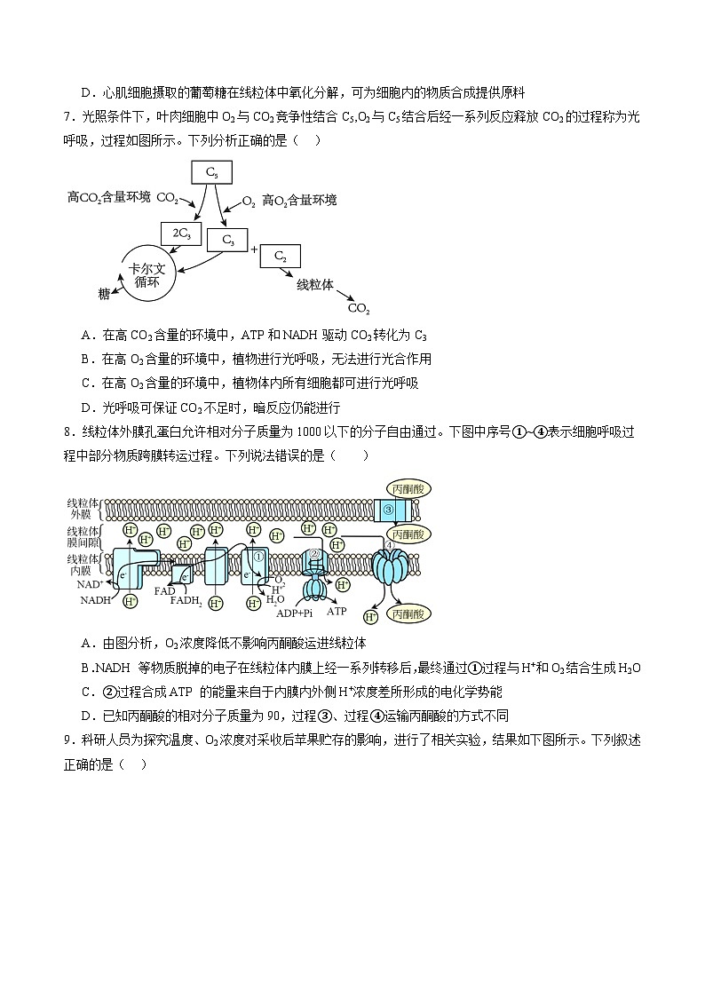 第三单元 细胞的能量供应和利用（测试）（原卷版）第3页