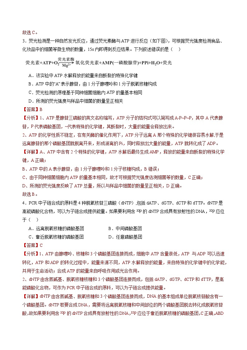 第三单元 细胞的能量供应和利用（测试）（解析版）第3页