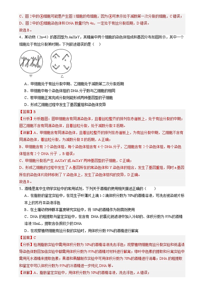 第四单元 细胞的生命历程（测试）（解析版）第3页