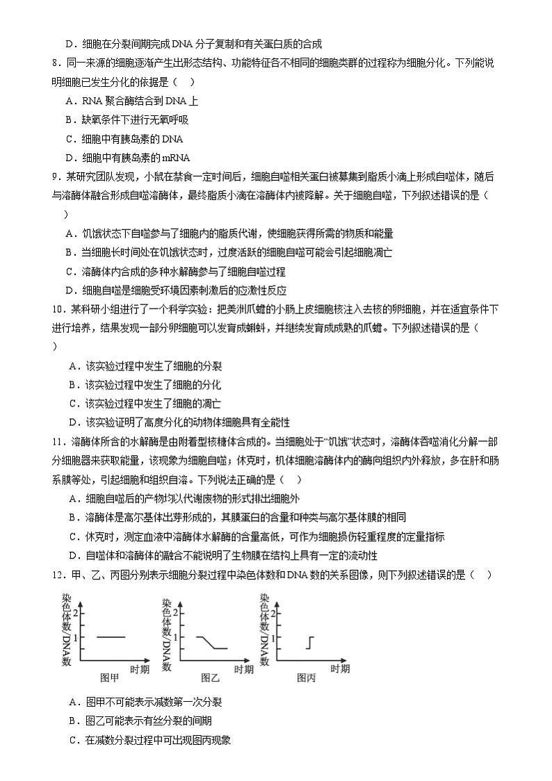 第四单元 细胞的生命历程（测试）（原卷版）第3页