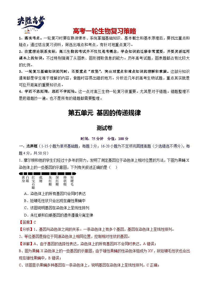 第五单元 基因的传递规律（测试）（解析版） 第1页
