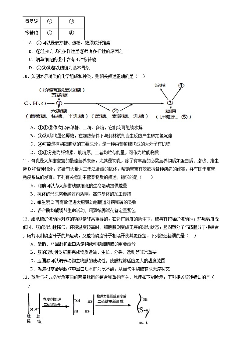 第一单元 细胞的概述及其组成分子（测试）（原卷版）第3页