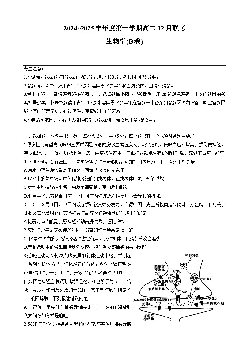 安徽省县中联考2024~2025学年高二上学期12月月考生物试题 (1)第1页
