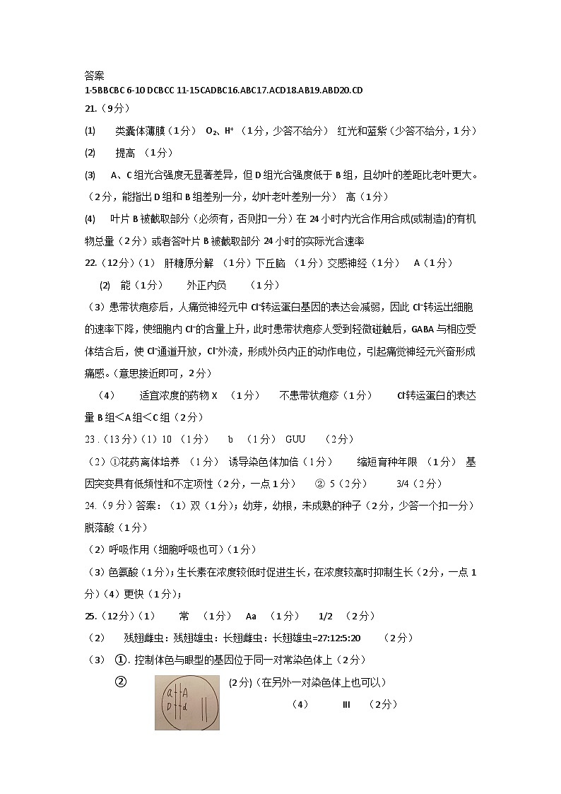 参考答案第1页