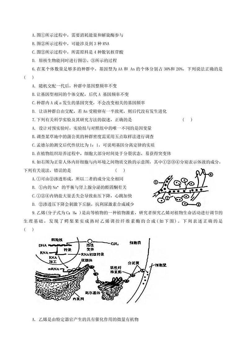 生物丨河北省邯郸市部分学校2025届高三上学期12月第一次大联考模拟预测试卷生物试卷及答案第2页