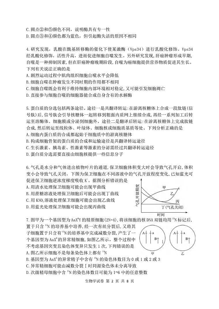 生物丨湖北省腾云联盟2025届高三12月联考生物试卷及答案第2页