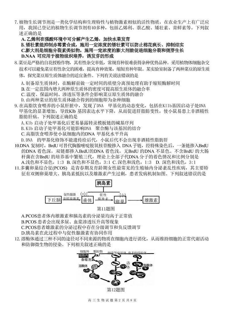 生物丨浙江省精诚联盟2025届高三12月第一学期适应性联考生物试卷及答案第2页