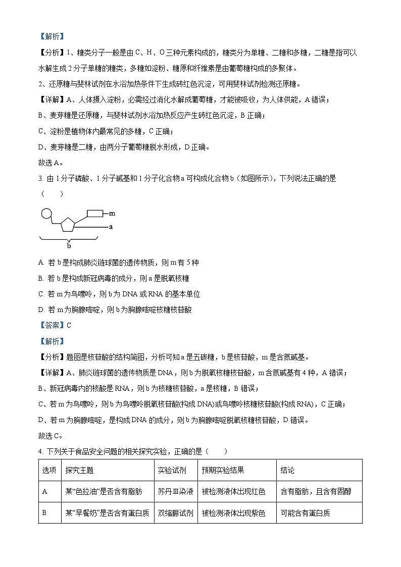 山东省泰安市肥城市肥城市第三中学2024-2025学年高一上学期期中考试生物试题（解析版）-A4第2页