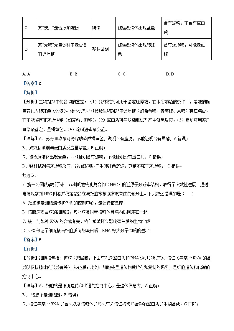 山东省泰安市肥城市肥城市第三中学2024-2025学年高一上学期期中考试生物试题（解析版）-A4第3页