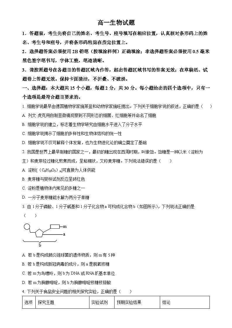 山东省泰安市肥城市肥城市第三中学2024-2025学年高一上学期期中考试生物试题（原卷版）-A4第1页