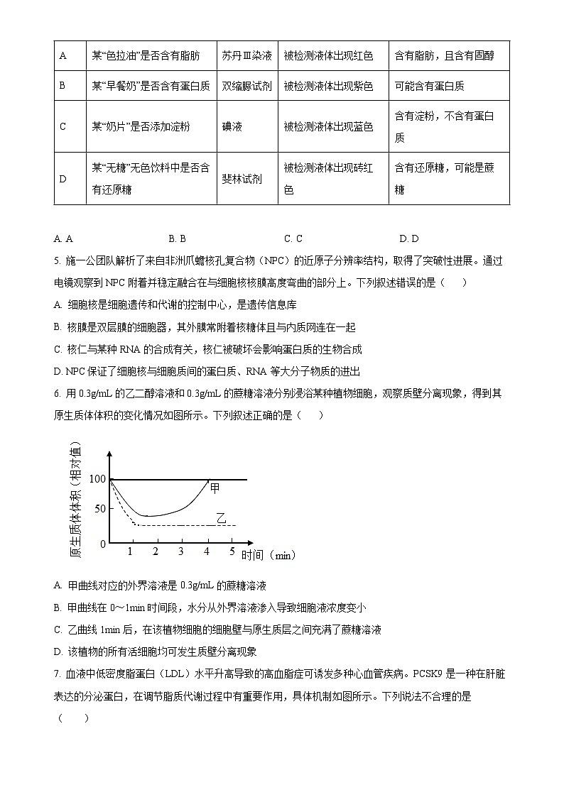山东省泰安市肥城市肥城市第三中学2024-2025学年高一上学期期中考试生物试题（原卷版）-A4第2页