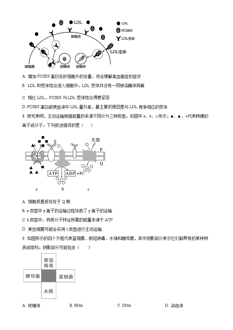 山东省泰安市肥城市肥城市第三中学2024-2025学年高一上学期期中考试生物试题（原卷版）-A4第3页