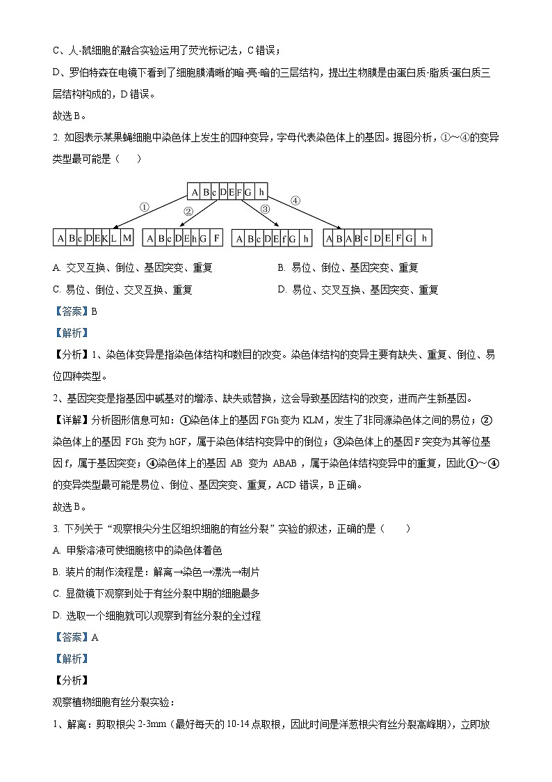 福建省福州市马尾区第一中学2024-2025学年高三上学期期中生物试卷（解析版）-A4第2页