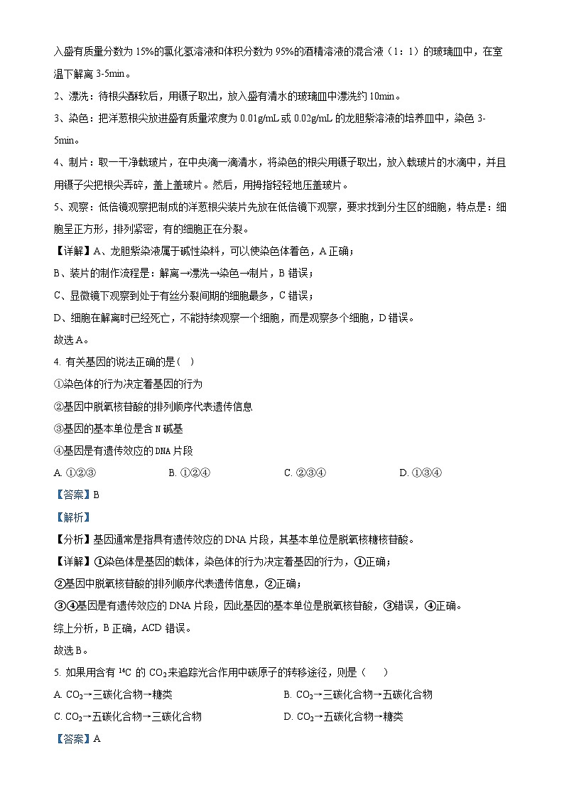福建省福州市马尾区第一中学2024-2025学年高三上学期期中生物试卷（解析版）-A4第3页