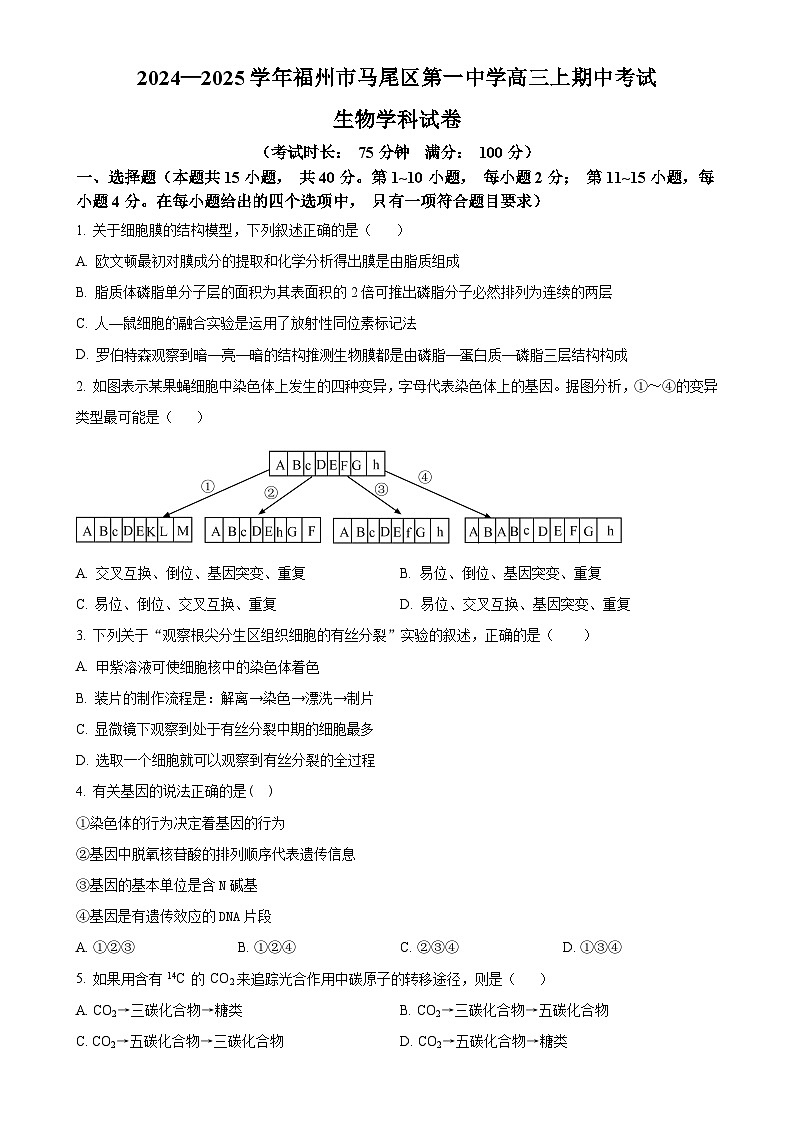 福建省福州市马尾区第一中学2024-2025学年高三上学期期中生物试卷（原卷版）-A4第1页