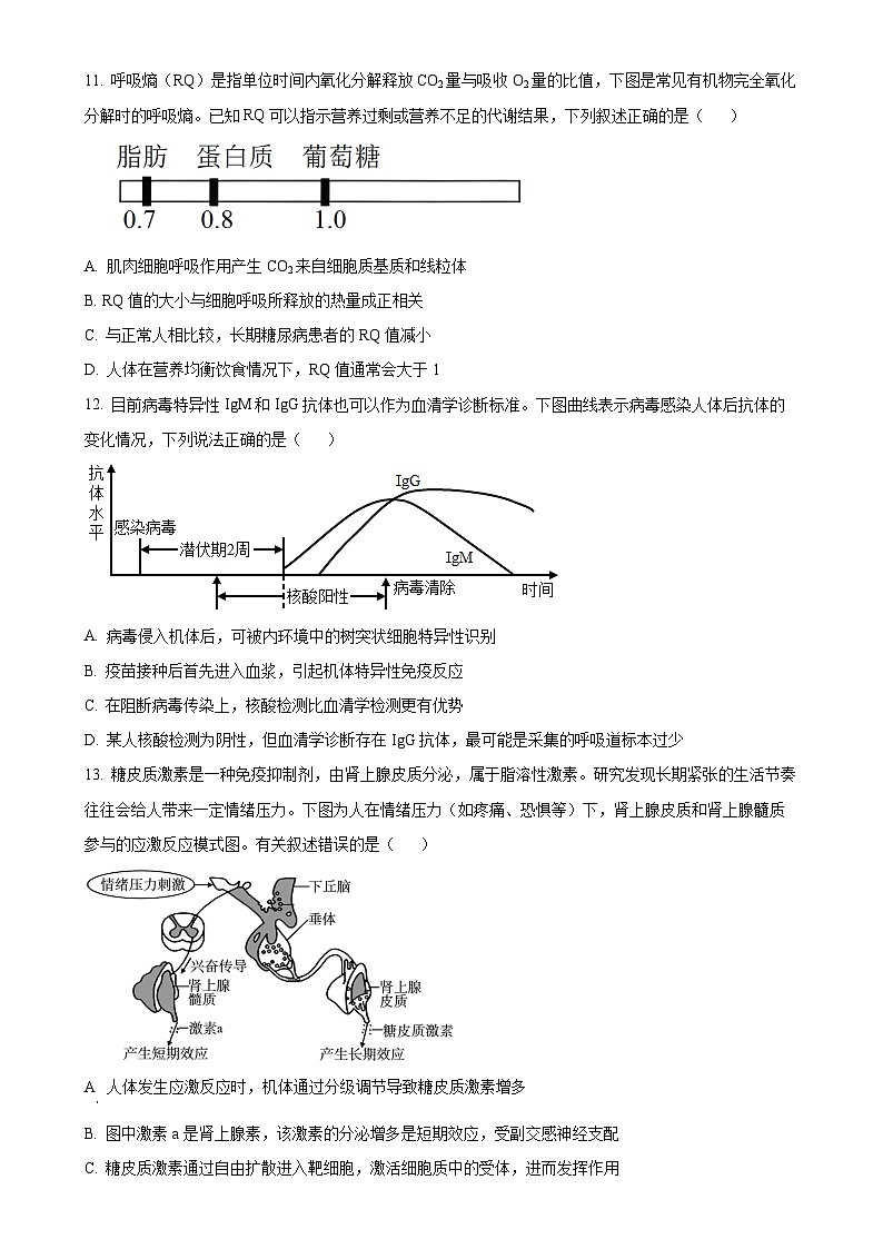 福建省福州市马尾区第一中学2024-2025学年高三上学期期中生物试卷（原卷版）-A4第3页