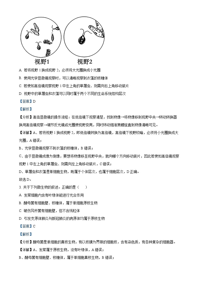 安徽省合肥一六八中学2024-2025学年高一上学期期中生物试卷 （解析版）-A4第2页