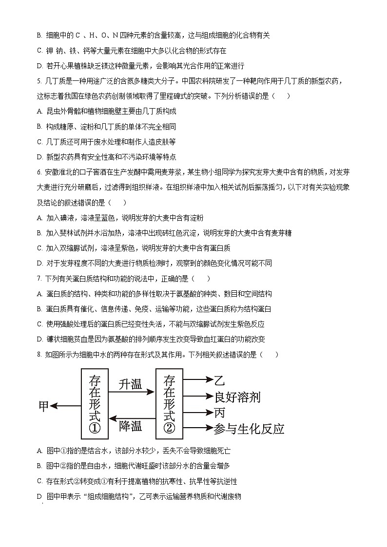 安徽省合肥一六八中学2024-2025学年高一上学期期中生物试卷 （原卷版）-A4第2页