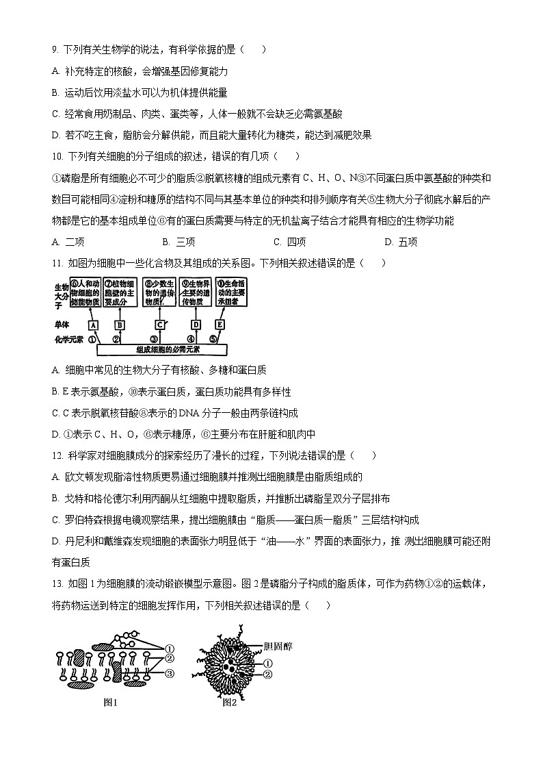安徽省合肥一六八中学2024-2025学年高一上学期期中生物试卷 （原卷版）-A4第3页