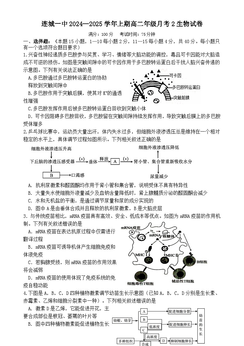 福建省龙岩市连城县第一中学2024-2025学年高二上学期12月月考生物试题-A4第1页