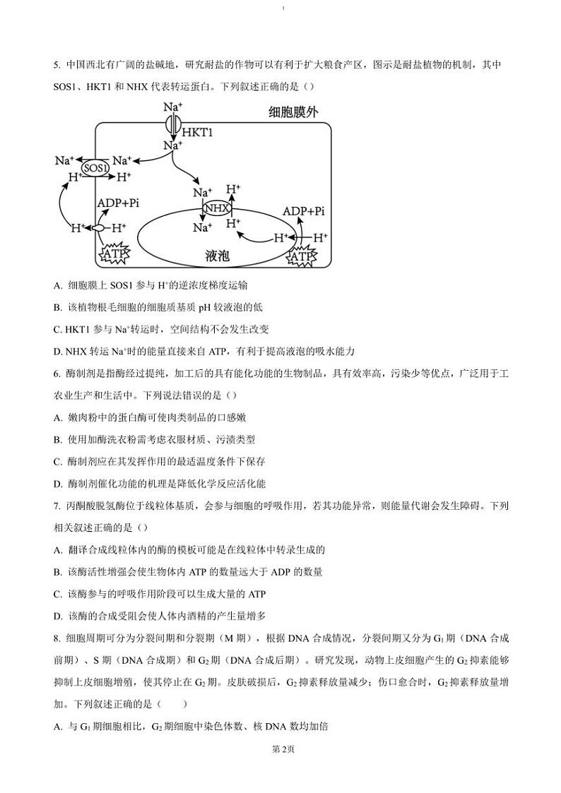 2024～2025学年安徽省合肥市六校联盟高三(上)期中生物试卷(含答案)第2页